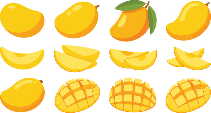 Ripe mangoes flat vector illustration pack. Whole tropical fruits, sliced wedges, and cubed halves with green leaves showcase fresh organic summer food details.