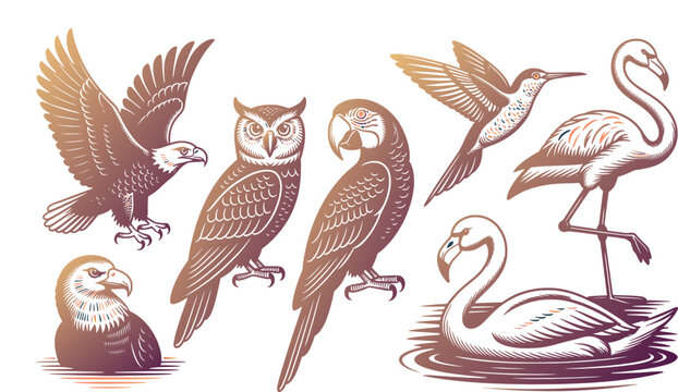 Set of hand drawn wild birds including eagle owl parrot hummingbird and flamingo in vintage style