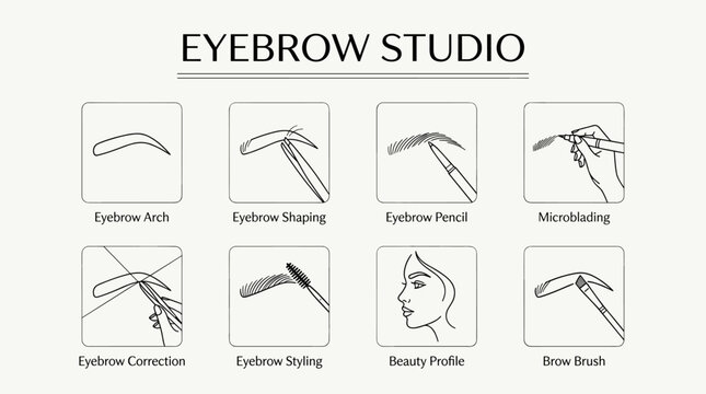 Eyebrow studio vector line art set with 8 labeled icons of arch, shaping, pencil, microblading, correction, styling, profile and brush