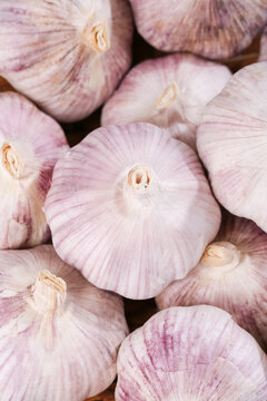 Fresh Purple Garlic Bulbs with White Peels - Chinese Farm Produce from Henan Shandong Yunnan