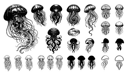 Artistic jellyfish marine vector set © MstLiza