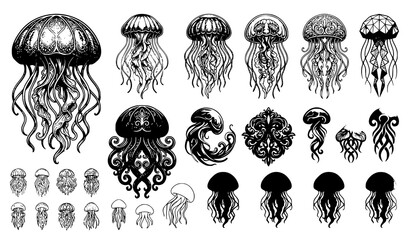 Jellyfish ocean artwork vector illustration pack © MstLiza