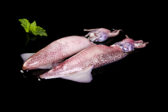 Fresh Raw Squid Seafood with Tentacles and Mint Garnish on Black Background