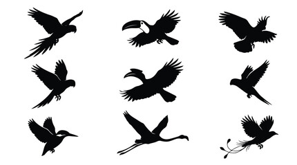 Tropical bird silhouettes set of 9 vector icons, exotic flying birds including parrot toucan and flamingo, black wildlife animal shapes on white © Saad