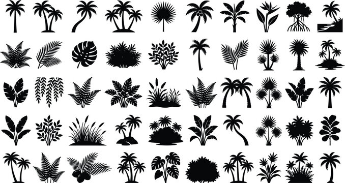 Tropical Jungle Foliage and Exotic Botanical Plant Solid Black Silhouette Icon Set featuring Palm Trees Monstera Fern Leaves Island Landscapes and Rainforest Shrubbery