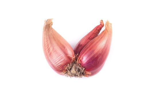 Fresh Red Purple Onion Halves with Skin and Roots Isolated on White Background