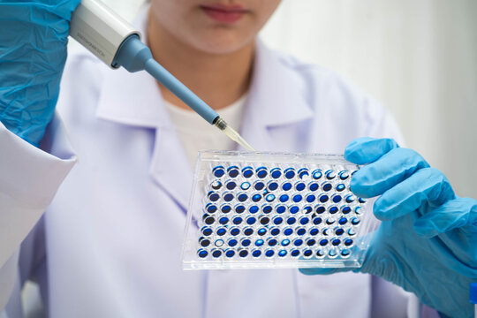 Scientist with cell culture in sample micro plate for research in science laboratory.