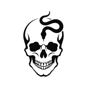 Vector illustration of a stylized human skull with a snake coiled on the forehead with black vector, mysterious, monochrome, silhouette, halloween, symbolic, skeleton, abstract, graphic
