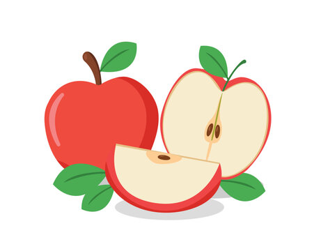 Fresh Red Apple Collection with Whole,  Vector Illustration