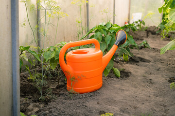 Orange watering can resting on ground in vegetable garden care   © Maria A