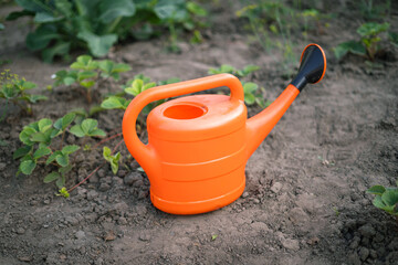 Orange watering can in vegetable garden with fresh strawberry plants   © Maria A