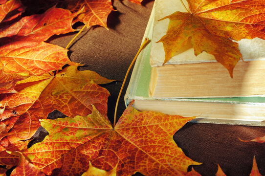 Autumn background with concepts of reading, education, university, college studying and back to school. Stack of old books on the table among dry autumn leaves. Selective focus at the book's spine
