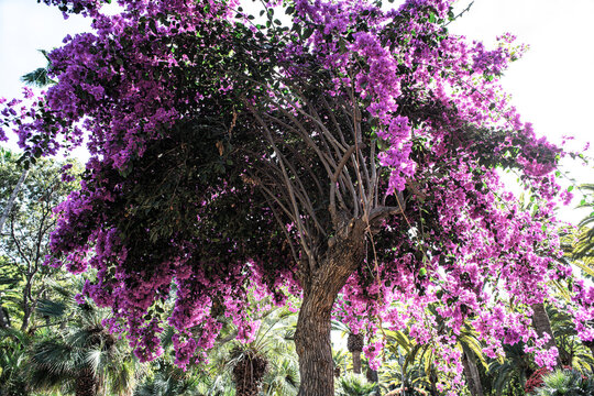 Farben auf Gran Canaria