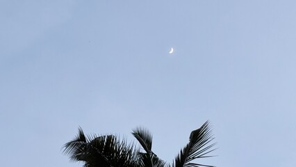Crescent moon in the sky © MGR