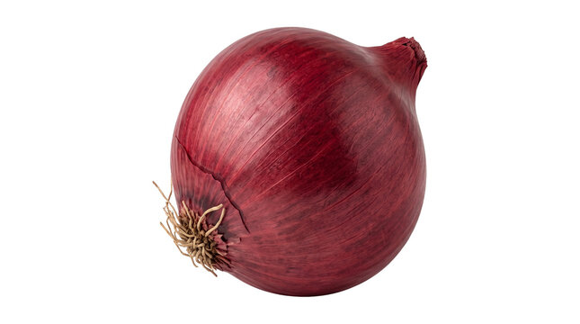 Fresh red onion bulb with dry skin and roots healthy vegetable food isolated on transparent background png.