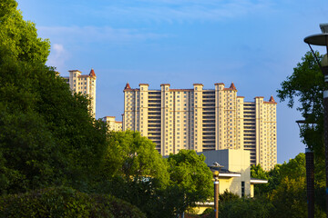 Sunlit apartment towers above green urban trees © ThaiKhanh
