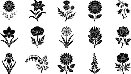 Fifteen black flower silhouettes arranged in a grid, showcasing a variety of botanical species and floral shapes on a white background © Graphic Shops