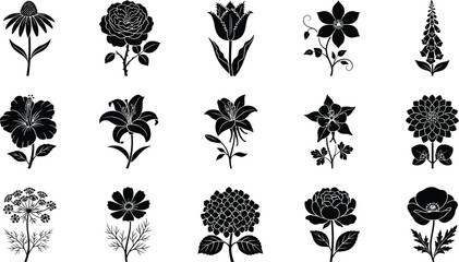 Fifteen black flower silhouettes organized in a grid, displaying a variety of botanical species and floral shapes on a white background © Graphic Shops