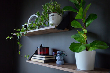 Floating wooden shelves decorated with houseplants, books, candle and decorative accessories © barmaleeva
