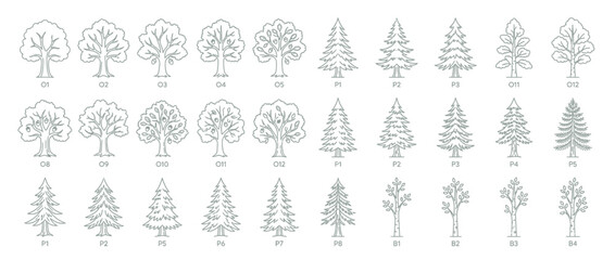 Collection of Line Art Trees for Design © Reza