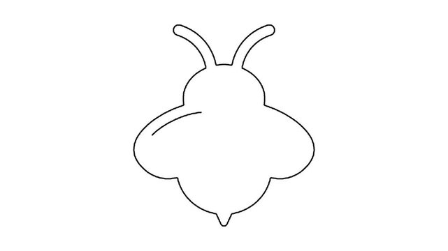 Minimal bee line animation drawing process showing simple insect form.