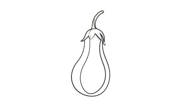 Eggplant outline.