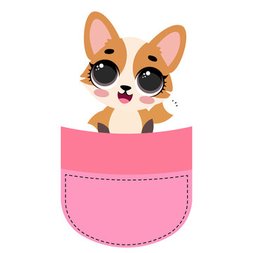 Cute corgi dog sitting inside a pink pocket illustration isolated on white background lovely puppy character print design for kids nursery t-shirts stickers and cards