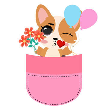 Cute corgi dog sitting inside a pink pocket illustration isolated on white background lovely puppy character print design for kids nursery t-shirts stickers and cards