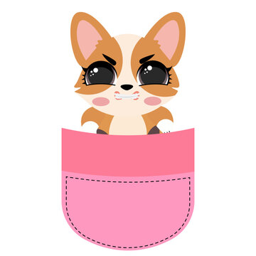 Cute corgi dog sitting inside a pink pocket illustration isolated on white background lovely puppy character print design for kids nursery t-shirts stickers and cards