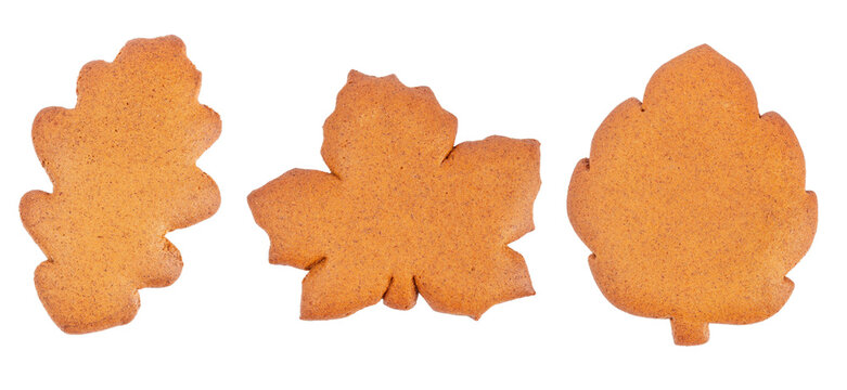 Three autumn gingerbread cookies shaped as oak, maple and leaf silhouettes isolated on white background. Seasonal baking concept with copy space.