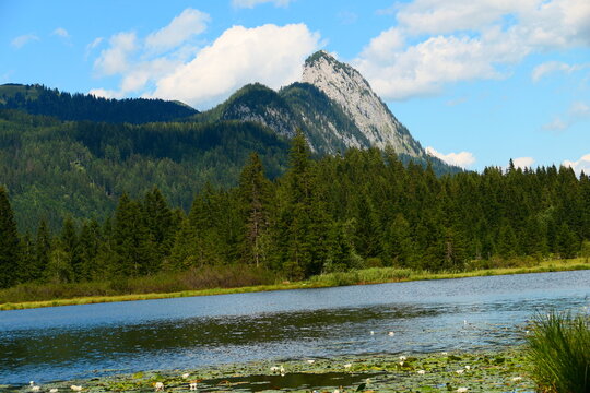 der Spechtensee, Badeteich in W&ouml;rschachwald, Steiermark 