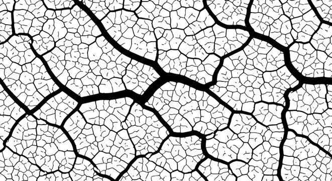 Intricate black and white pattern of cracks resembling dried earth or shattered glass.