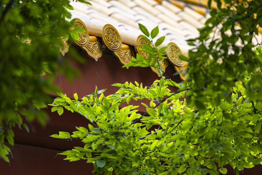 Ornate Temple Roof Framed by Green Foliage