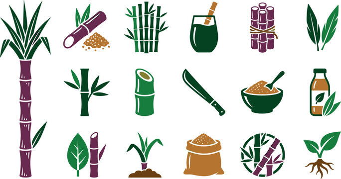 Sugarcane Agriculture and Production Vector Icon Set with Sugar Cane Stalks Leaves Machete Juice Bottle and Brown Sugar Elements
