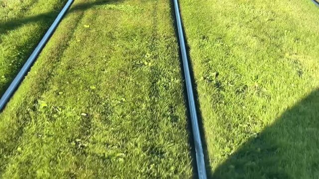 Urban details. Parallel narrow metal rails showing visible transition from green turf into worn cobblestone pavement under bright sun. 
