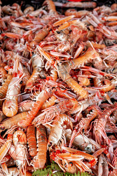 Fresh prawns at a market in Brittany