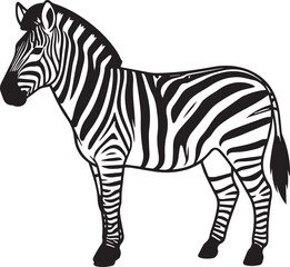 Obraz premium A striking illustration of a zebra standing proudly, showcasing its iconic black and white stripes in a clean, graphic style.