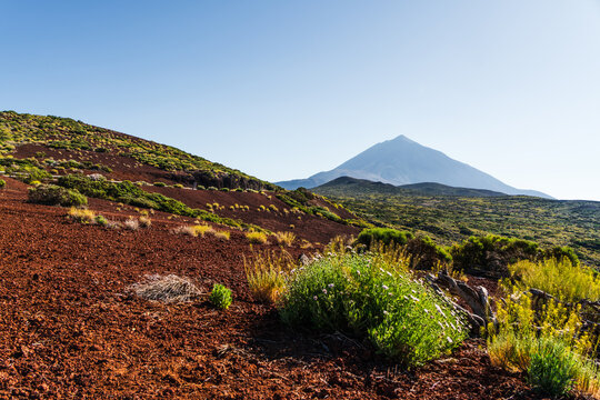 Scenic view of Mount Teide volcano and volcanic landscape in Tenerife, Canary Islands