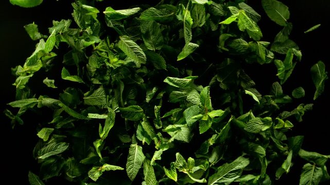 Super Slow Motion of Flying Fresh Mint Leaves. Filmed on High Speed Cinema Camera, 1000 fps. Camera Placed on High Speed Cine Bot, Rotating.