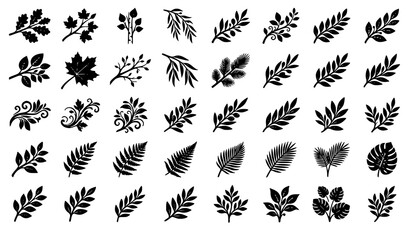 Fototapeta premium Black Botanical Branch and Leaves Vector Collection with Natural Decorative Foliage Elements
