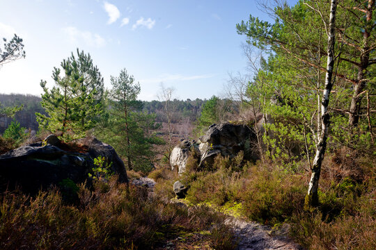 The Mont Rouget in the Trois Pignons Forest. Fontainebleau Massif