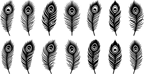 Set of elegant peacock feather silhouettes, decorative bird plume vector icons, ornamental quill collection for luxury design and branding patterns.  © Delowara