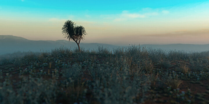 Yucca tree in an arid wide landscape during misty sunset. 3D rendered image.