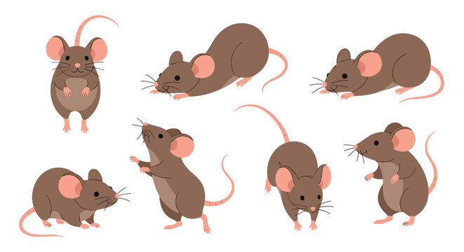 Collection of Cute Mice in Various Poses and Angles for Illustration and Design.