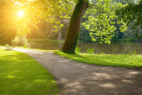 Beautiful Scenic Dirt Pathway in a Vibrant Public Green Park Next to a Quiet Calm Lake with Bright Golden Sunlight Beams and Ample Copy Space for Text