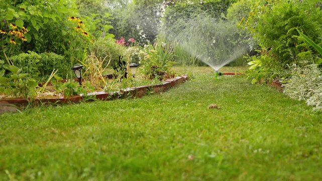 A garden sprinkler waters a lush green lawn surrounded by colorful flower beds and raised vegetable garden borders on a summer day.