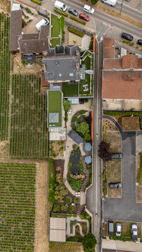 Aerial top-down view of a modern landscaped garden with a pergola beside vineyards