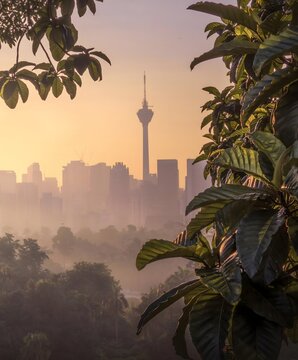 Kuala Lumpur skyline with KL Tower at sunrise through tropical rainforest foliage