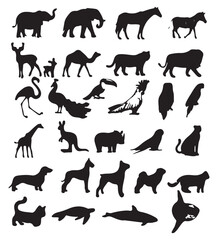 Obraz premium set of silhouettes of animal.
