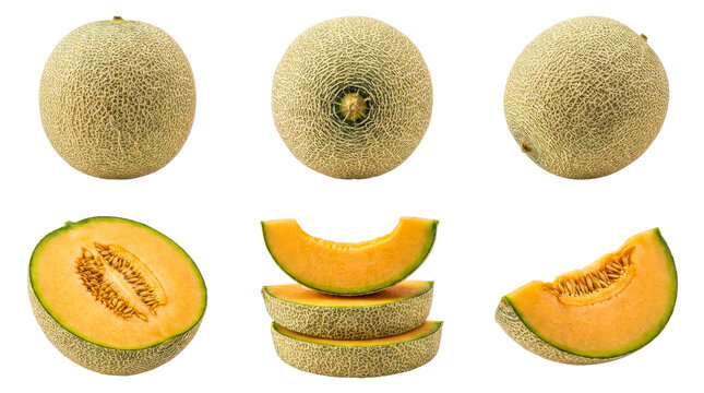 Fresh cantaloupe melon collection displaying whole fruits and sliced pieces with textured rind and orange flesh on transparent background